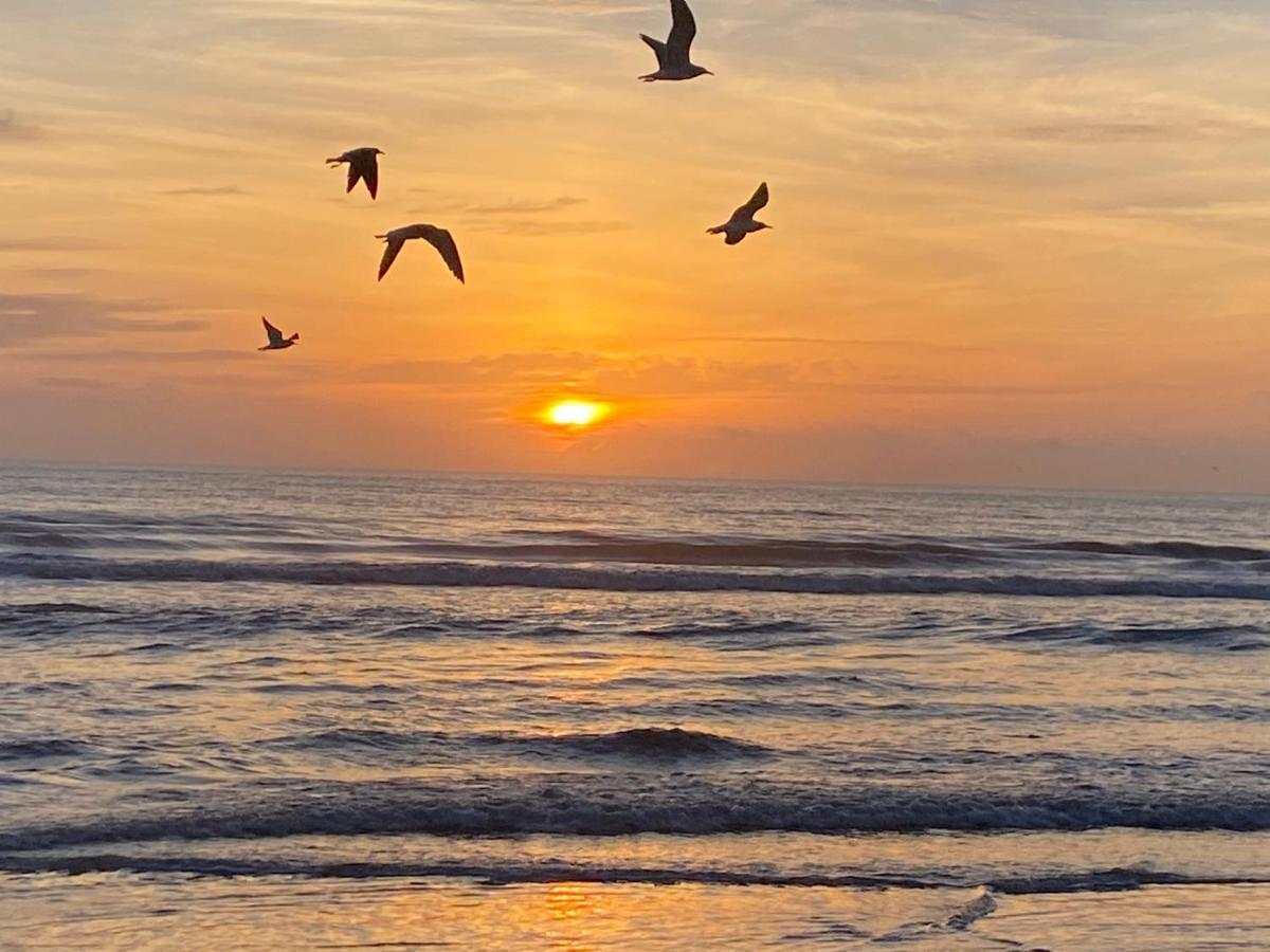I Need A Vacay Now! Remodeled Studio Daytona Beach Dış mekan fotoğraf